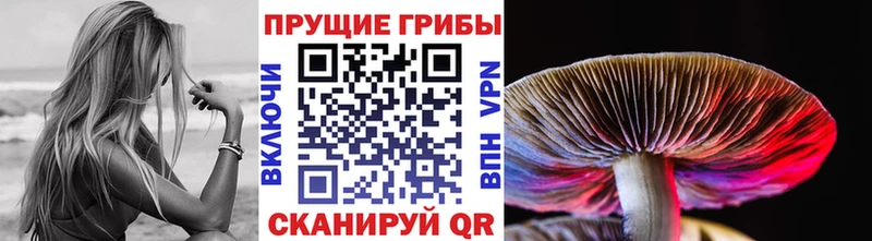 Псилоцибиновые грибы ЛСД Балабаново